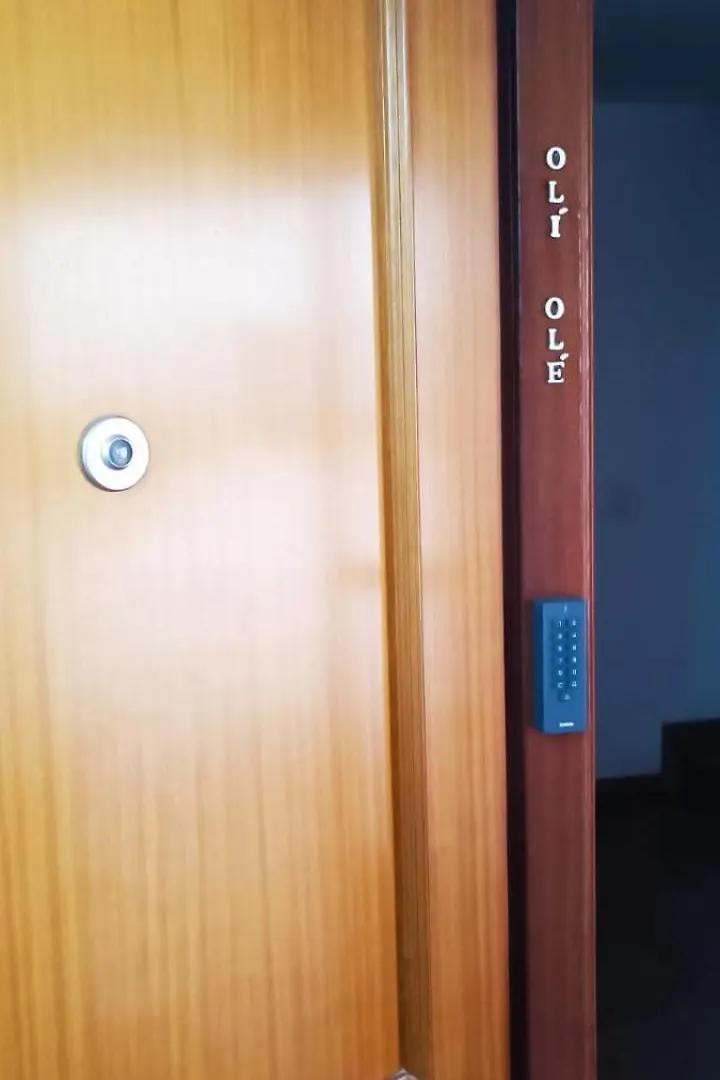 Oli-Ole Apartment Malaga